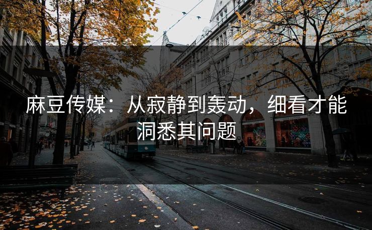 麻豆传媒：从寂静到轰动，细看才能洞悉其问题