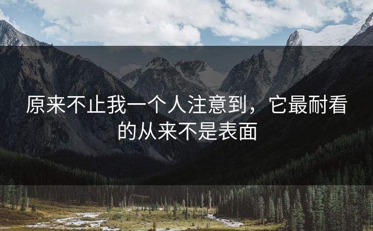 原来不止我一个人注意到，它最耐看的从来不是表面